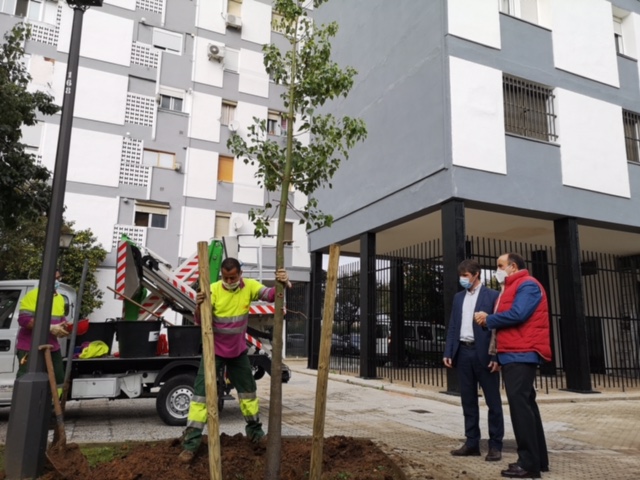 En este momento estás viendo Parques y Jardines arranca una nueva campaña de plantación de árboles en el Distrito San Pablo