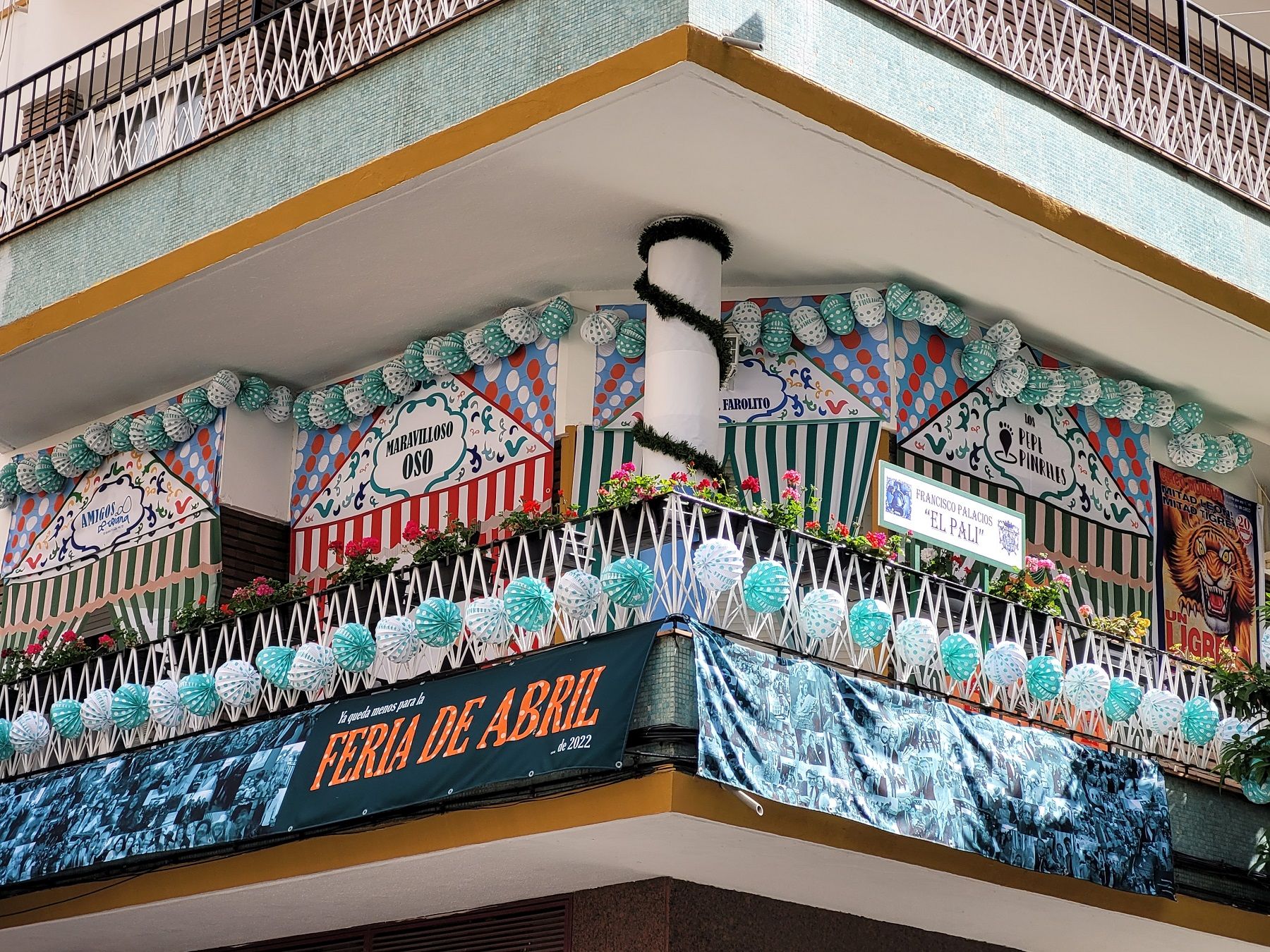 En este momento estás viendo Primer premio del concurso de Feria de balcones a Asunción, 21 y el de escaparates a Pureza, 43