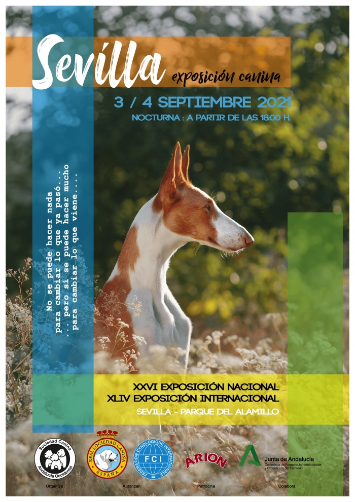En este momento estás viendo El Alamillo acogerá el 3 y 4 de septiembre la Exposición Nacional e Internacional Canina