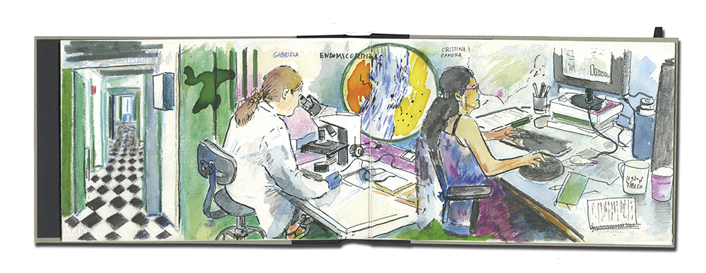 En este momento estás viendo «Dibujando la ciencia»: una nueva exposición del CSIC que aúna ciencia y arte