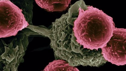 En este momento estás viendo Moléculas sintéticas para mejorar el tratamiento del cáncer