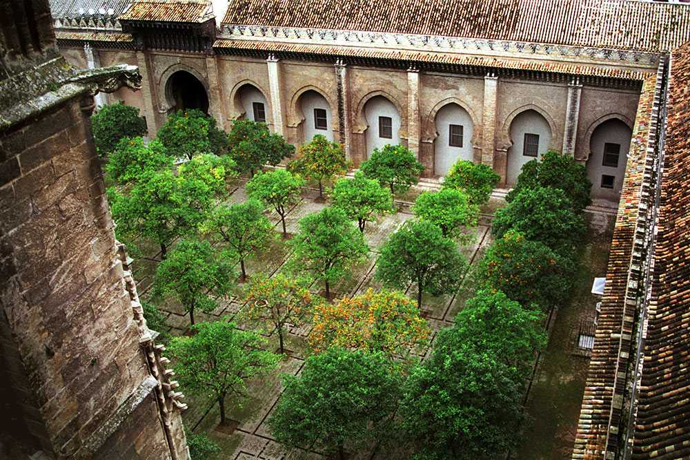 En este momento estás viendo La Comisión Provincial de Patrimonio aprueba  el Plan Director de Actuaciones de la Catedral