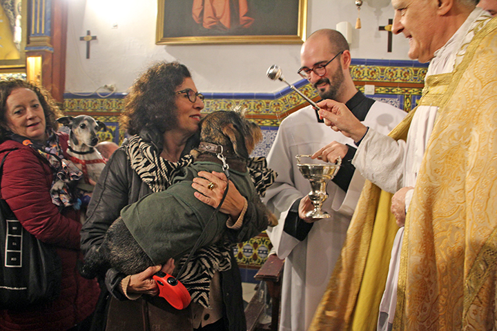 En este momento estás viendo Bendición de animales por San Antón, este viernes, en la Divina Pastora de Santa Marina