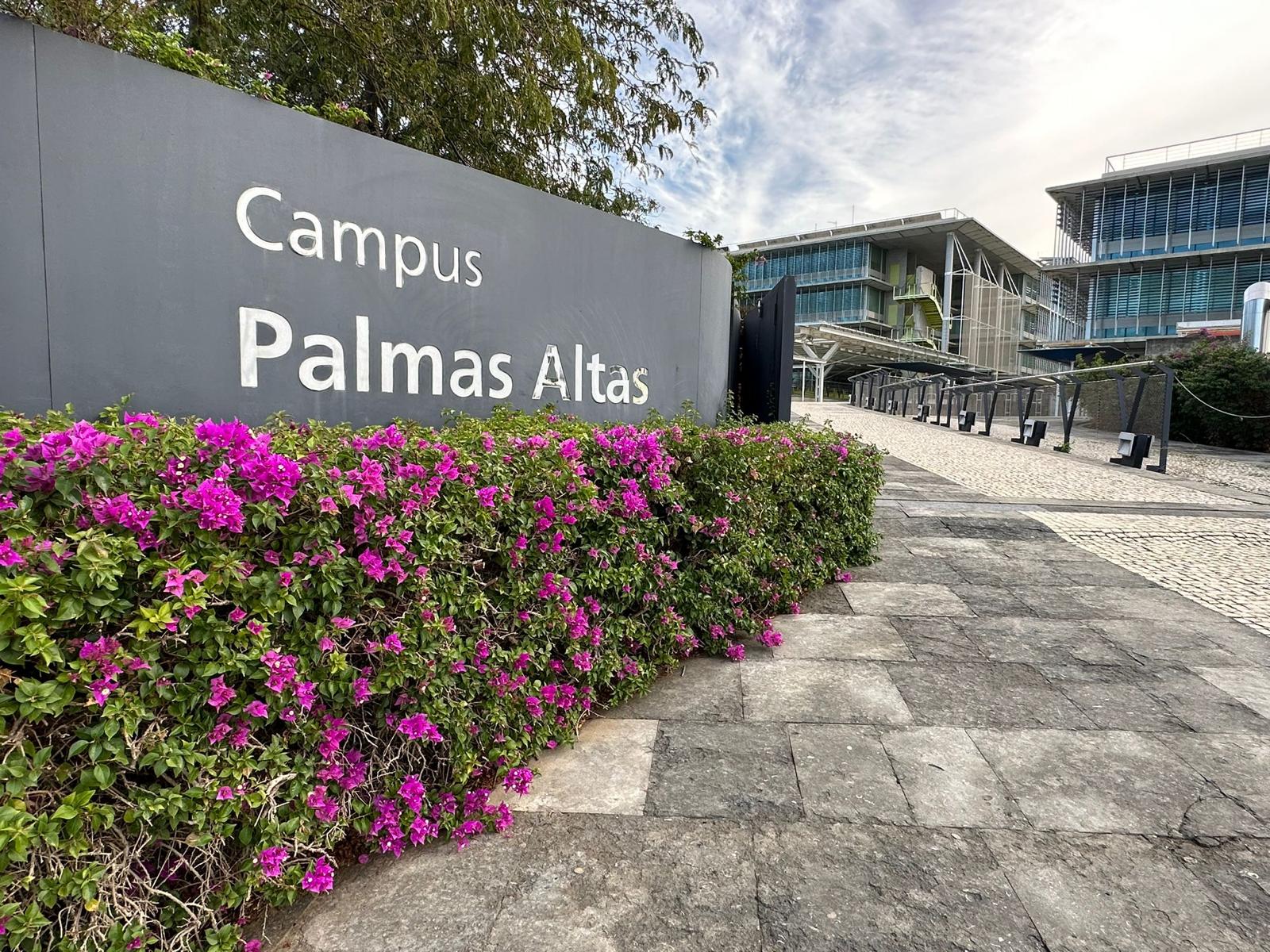 En este momento estás viendo A licitación la adaptación del edificio B de Palmas Altas para albergar los juzgados de Primera Instancia