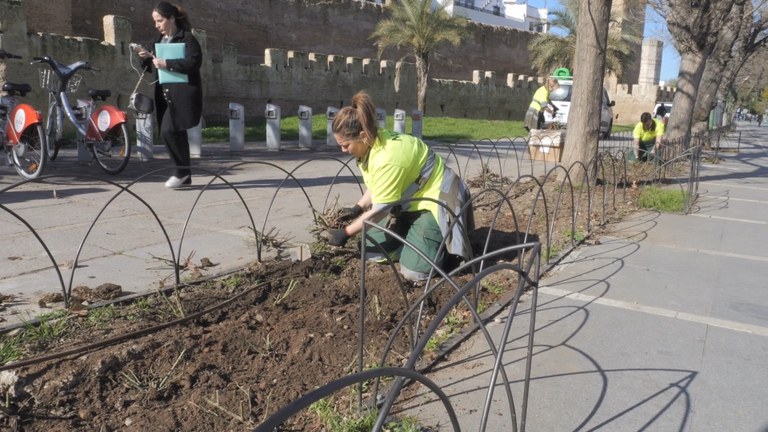 En este momento estás viendo 71 000 euros para proteger los parterres de la Muralla de la Macarena