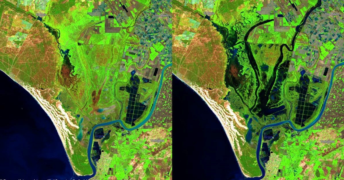 En este momento estás viendo Doñana recoge 300 mm de lluvias desde septiembre, pero se tendrían que suceder años húmedos para compensar el déficit hídrico actual