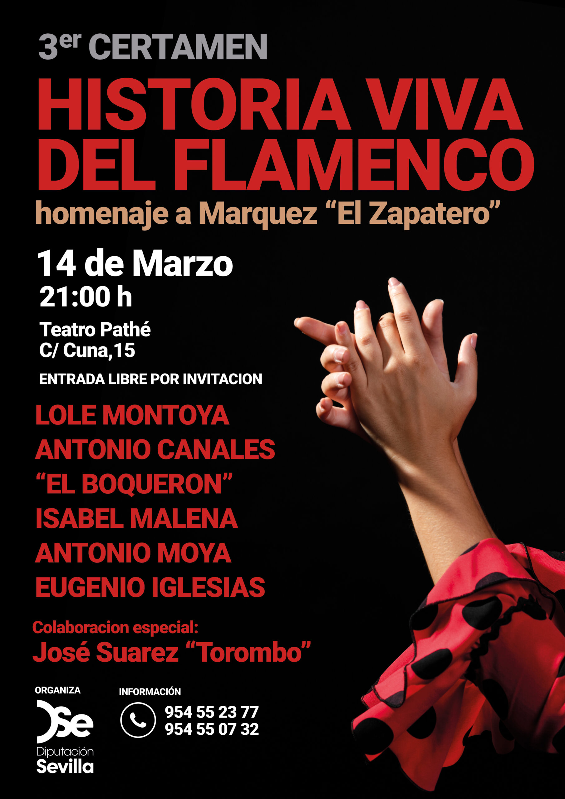 En este momento estás viendo El tercer certamen «Historia Viva del Flamenco» de la Diputación se celebrará el 14 de marzo