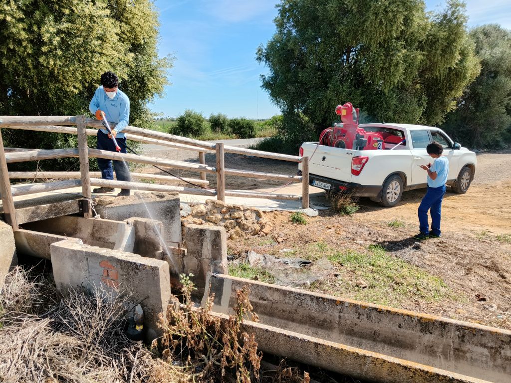 En este momento estás viendo La Diputación constata una menor presencia de larvas y mosquitos en las zonas de muestreo que hace un año